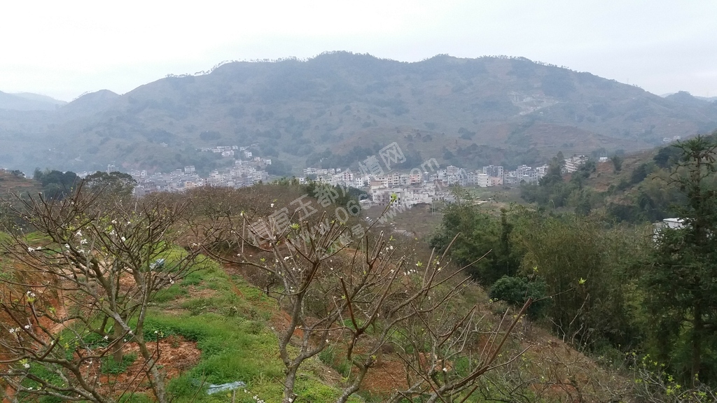 20160204_173344.jpg