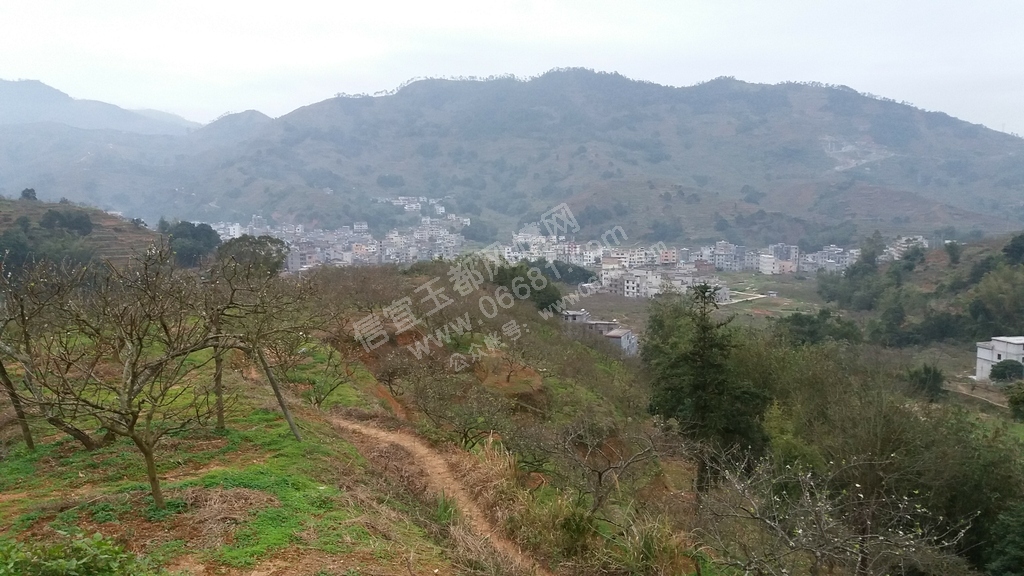 20160204_173428.jpg