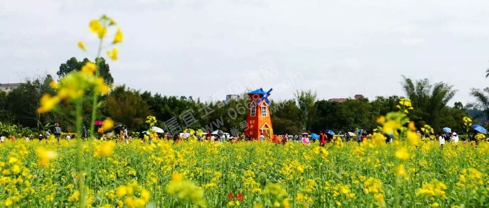 QQͼƬ20160229085421.jpg