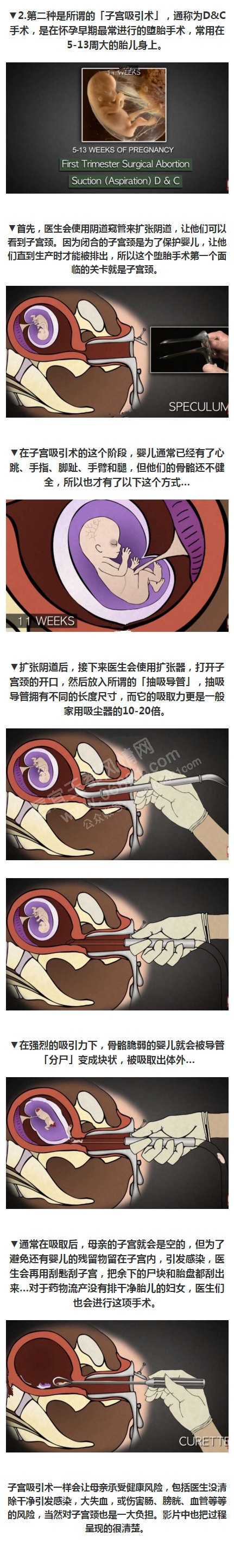 ��̥2.jpg