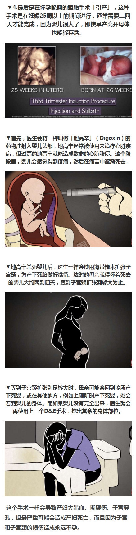 ��̥4.jpg