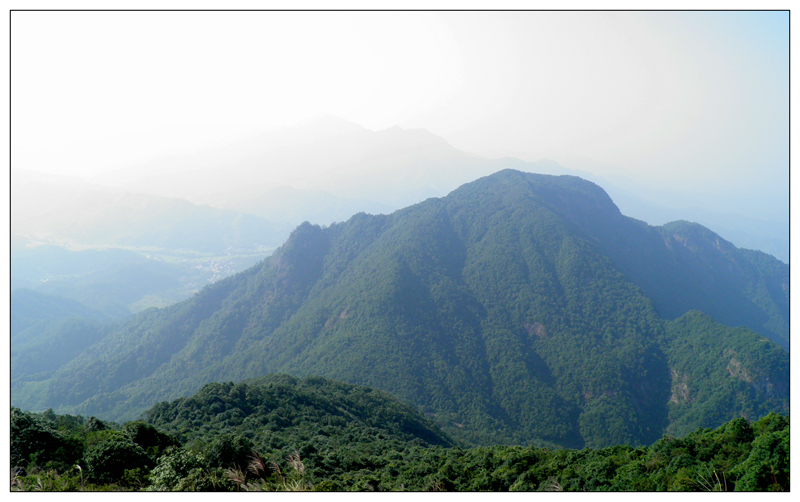 33.jpg