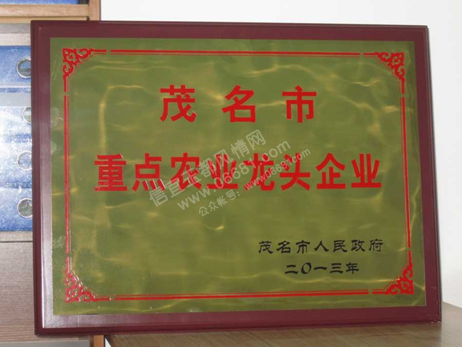 IMG_2280.jpg