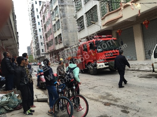 image.jpeg