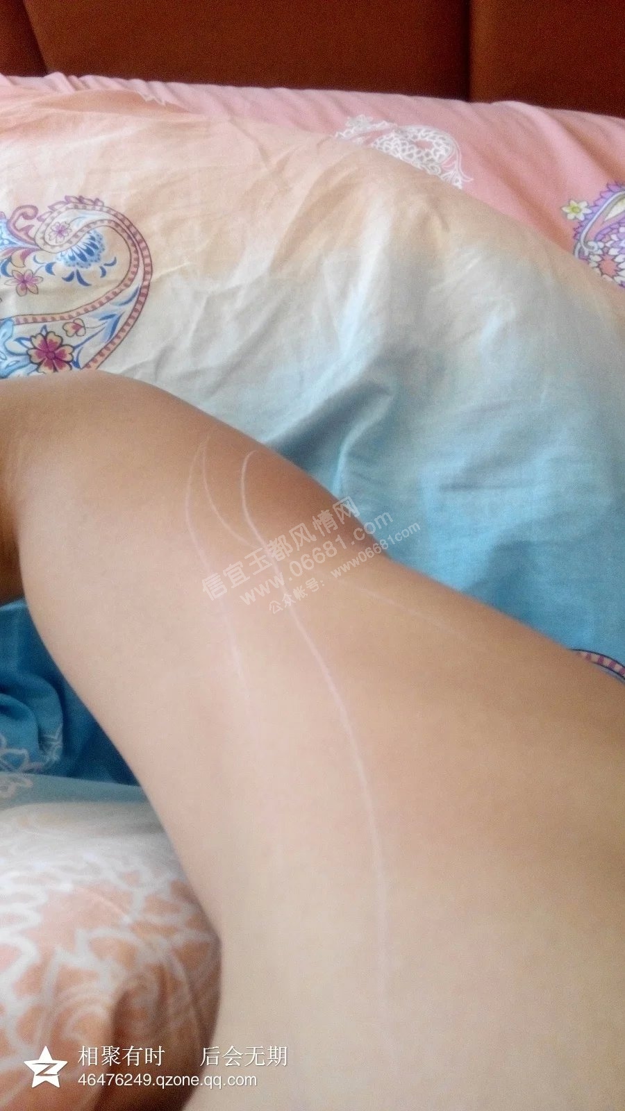 �桤ɽ���ۡ�����κɽ008.jpg