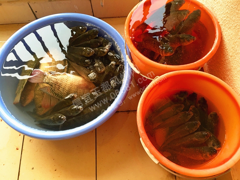 һ�������ս��