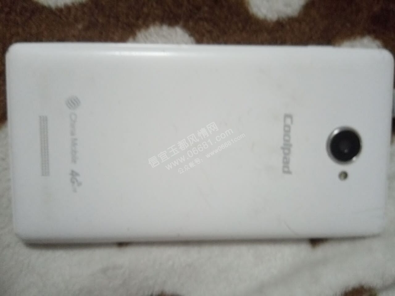-2e9b5352bc2bf1c8.jpg