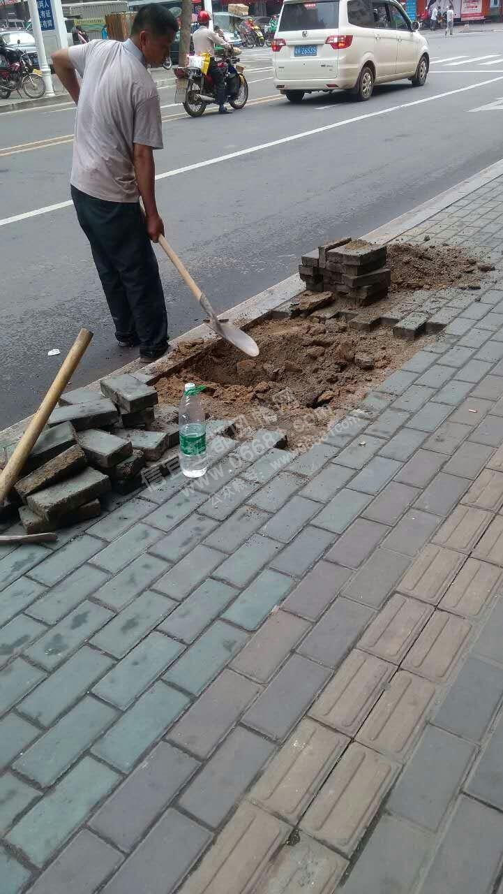 QQͼƬ20160408110752.jpg