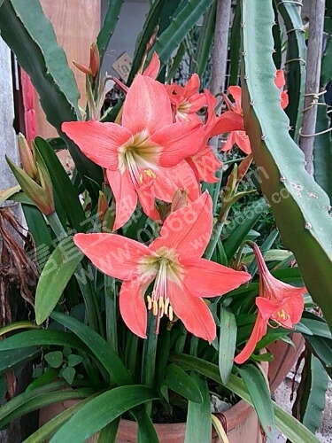 UC_Photo_001.jpg