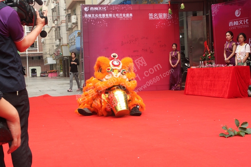 IMG_8419.JPG