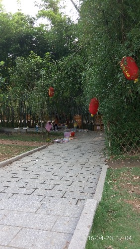 P60423-170406.jpg