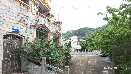 P60423-111626.jpg