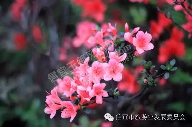 640.webp (3).jpg