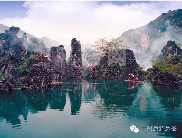 8DE.tm.png