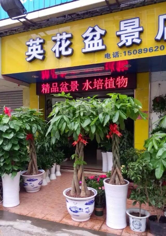QQͼƬ20160522205407.jpg