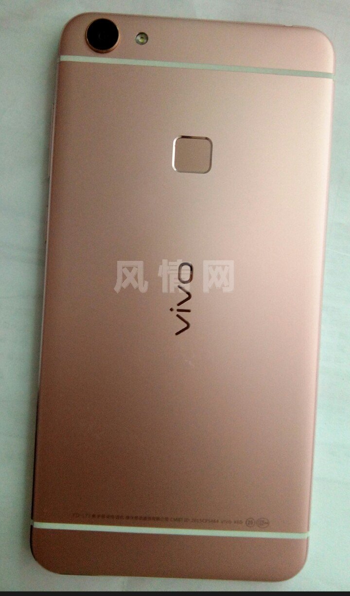 vivo  x6