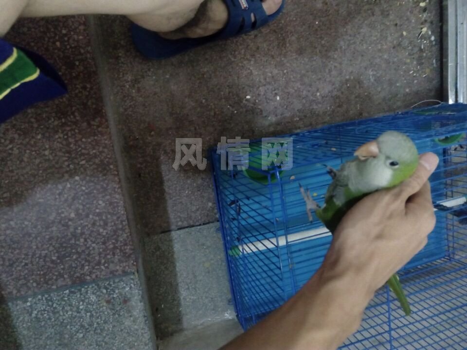 QQͼƬ20160530153140.jpg
