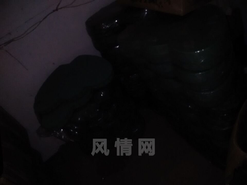 QQͼƬ20160603091659.jpg