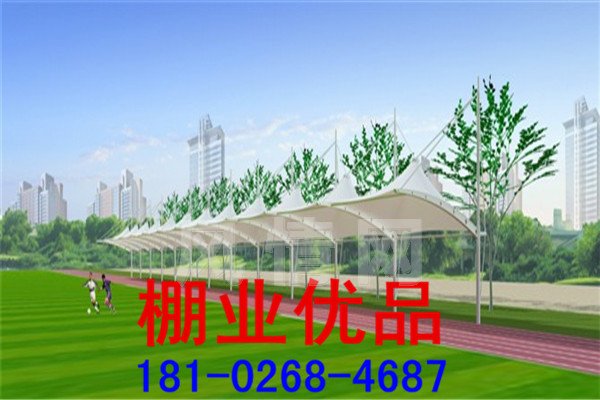 ��ɫĤ�ṹ����252.jpg