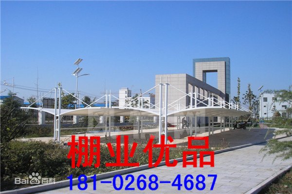 ��ɫĤ�ṹ����256.jpg