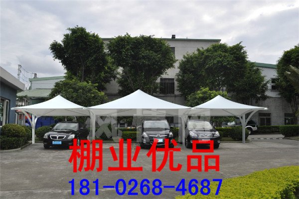 ��ɫĤ�ṹ����273.jpg