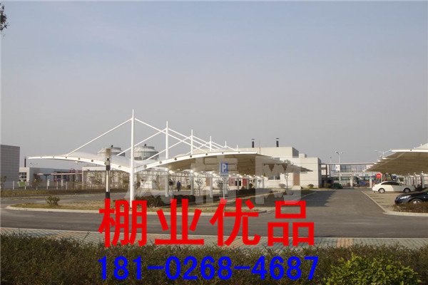 ��ɫĤ�ṹ����311.jpg