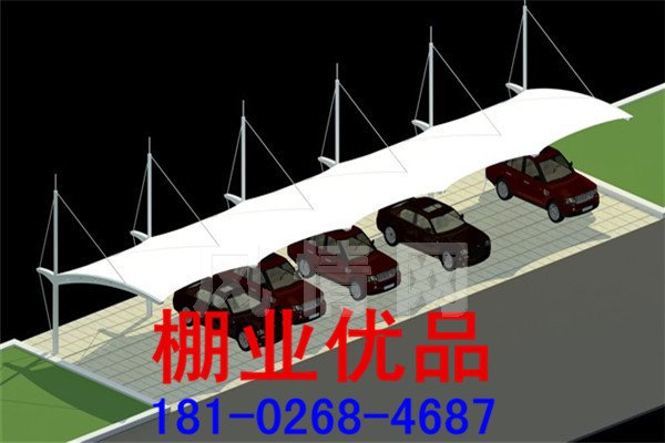 ��ɫĤ�ṹ����319.jpg