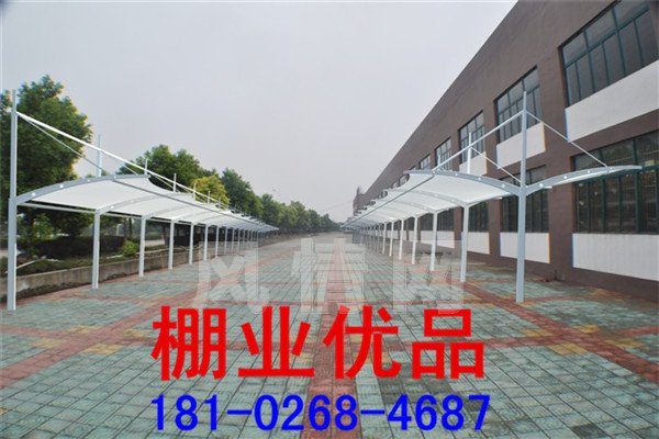 ��ɫĤ�ṹ����324.jpg