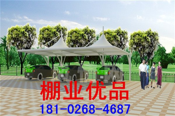��ɫĤ�ṹ����329.jpg