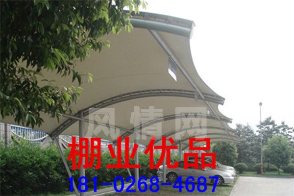 ��ɫĤ�ṹ����336.jpg