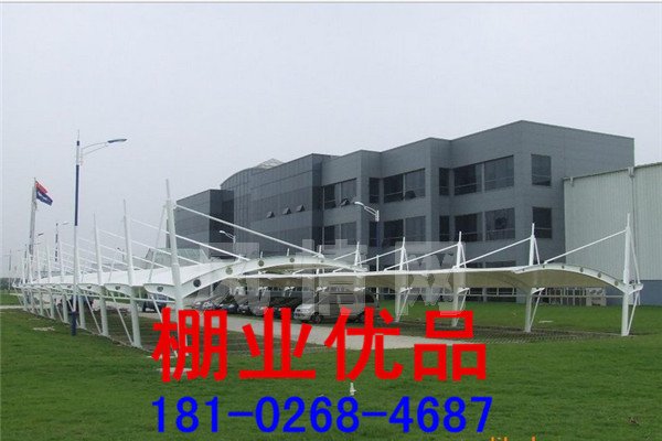 ��ɫĤ�ṹ����341.jpg