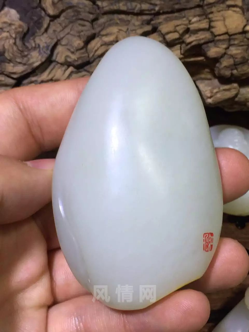 psb (3).jpg