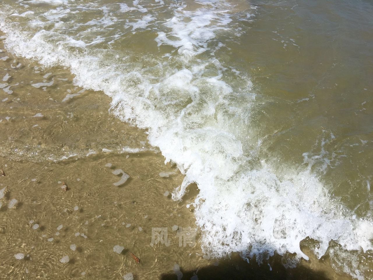 73685166422643433.jpg
