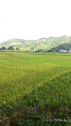 P60619-094353.jpg