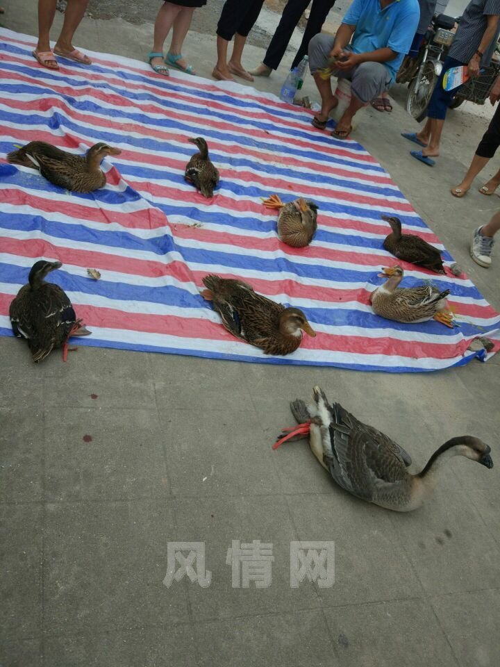 QQͼƬ20160630201338.jpg