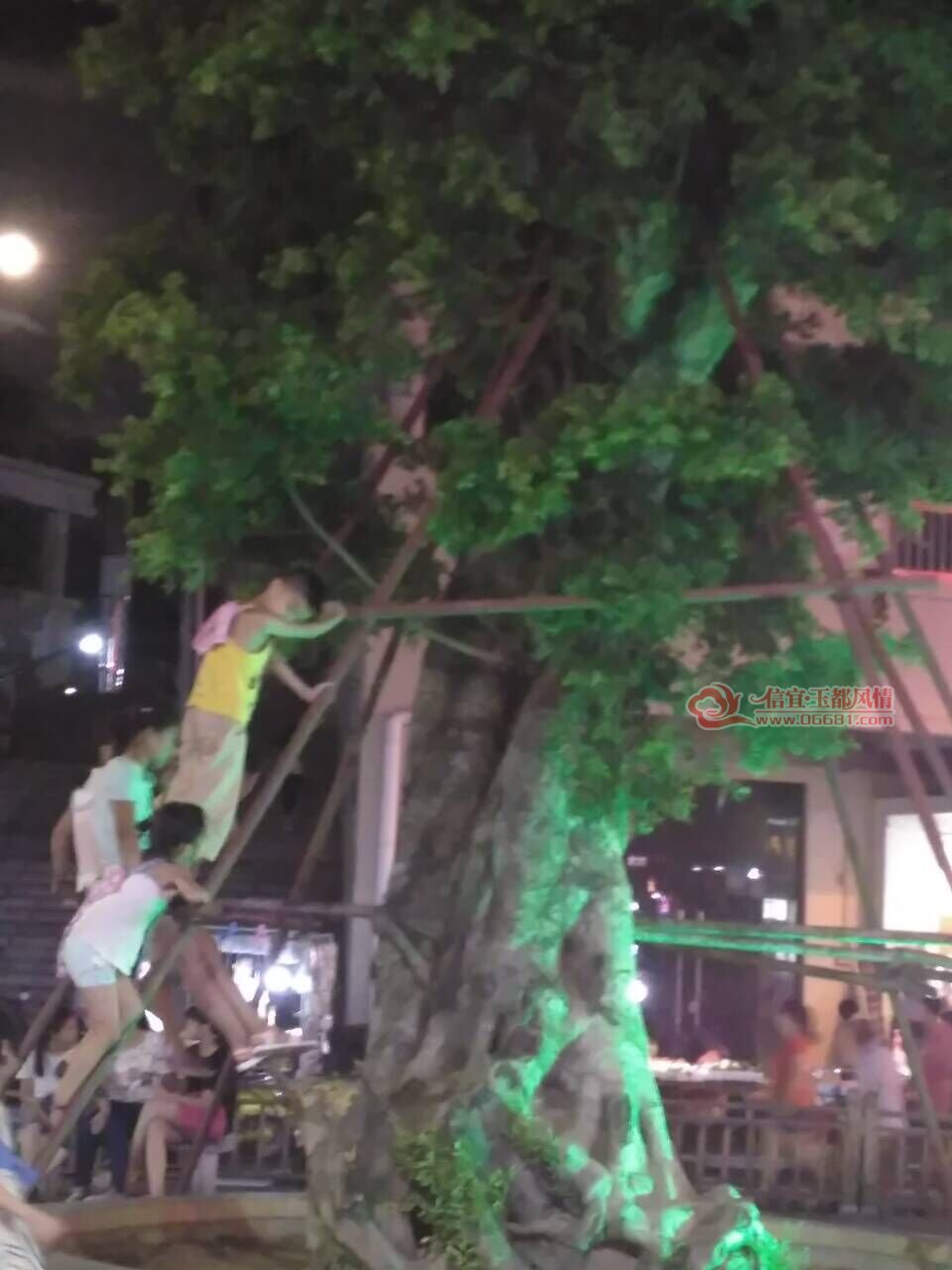 QQͼƬ20160721000455.jpg