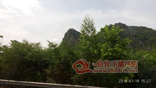 P60719-152742.jpg