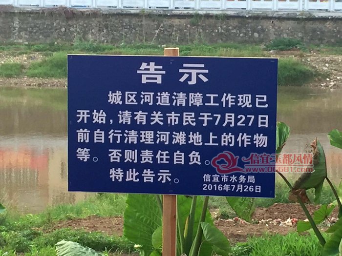 848804049212432779.jpg