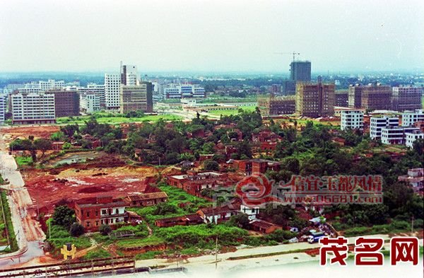07.jpg