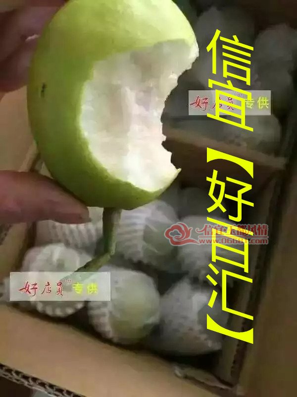 psb.webp (15)_����.jpg