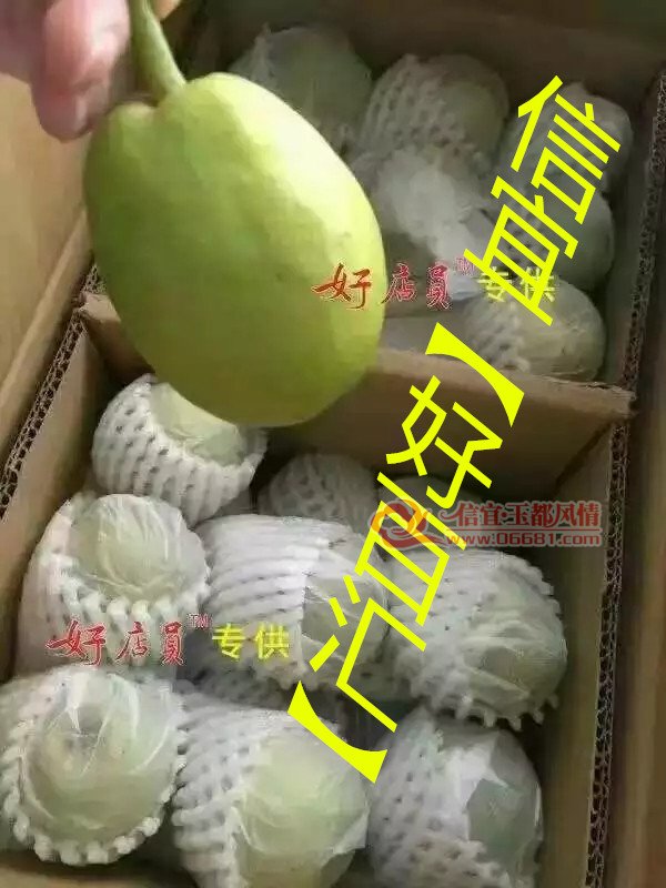 psb.webp (18)_����.jpg