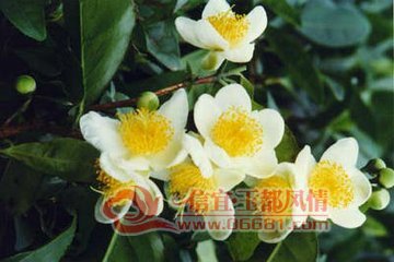 t013231fbc2a93d911e.jpg