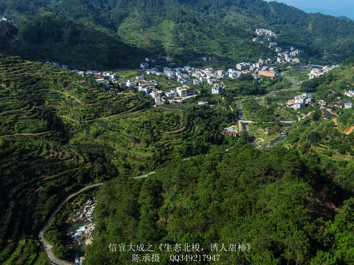 DJI_0092_nEO_IMG_nEO_IMG.jpg