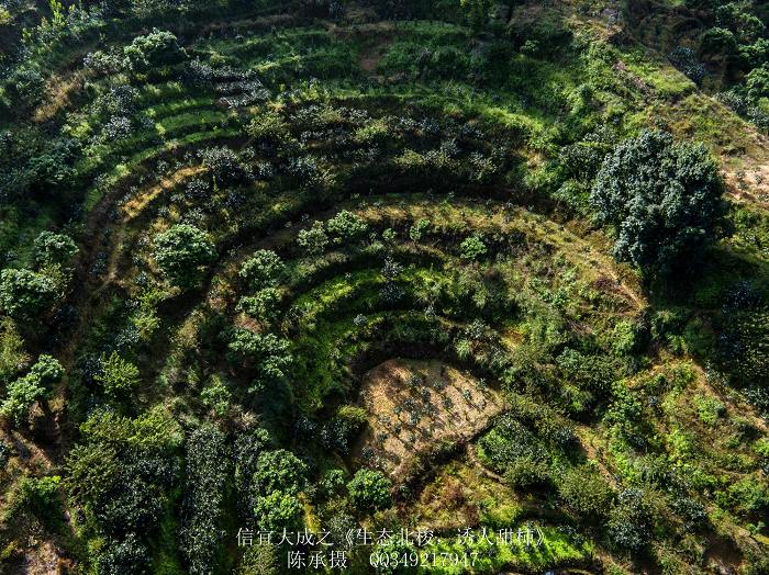 DJI_0088_nEO_IMG_nEO_IMG.jpg