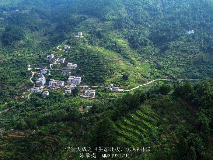 DJI_0104_nEO_IMG_nEO_IMG.jpg