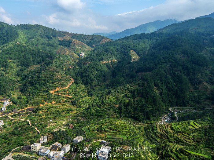 DJI_0109_nEO_IMG_nEO_IMG.jpg