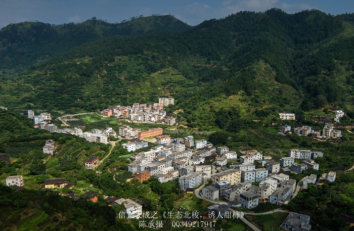 DJI_0115_nEO_IMG_nEO_IMG.jpg