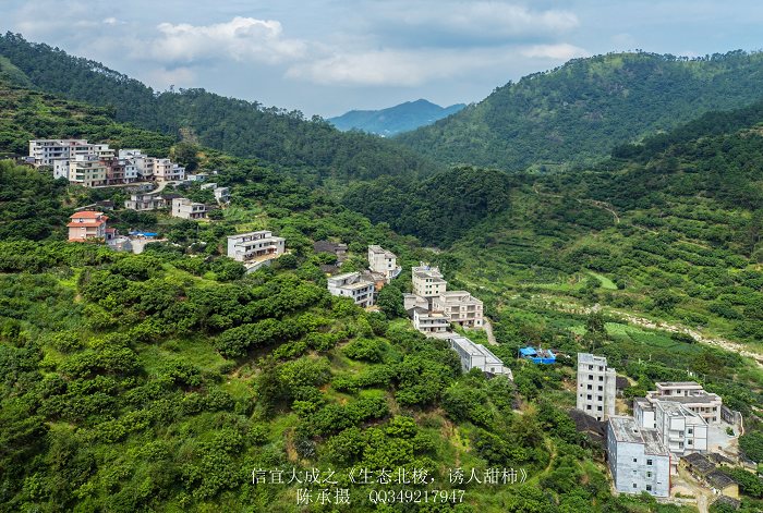 DJI_0138_nEO_IMG_nEO_IMG.jpg