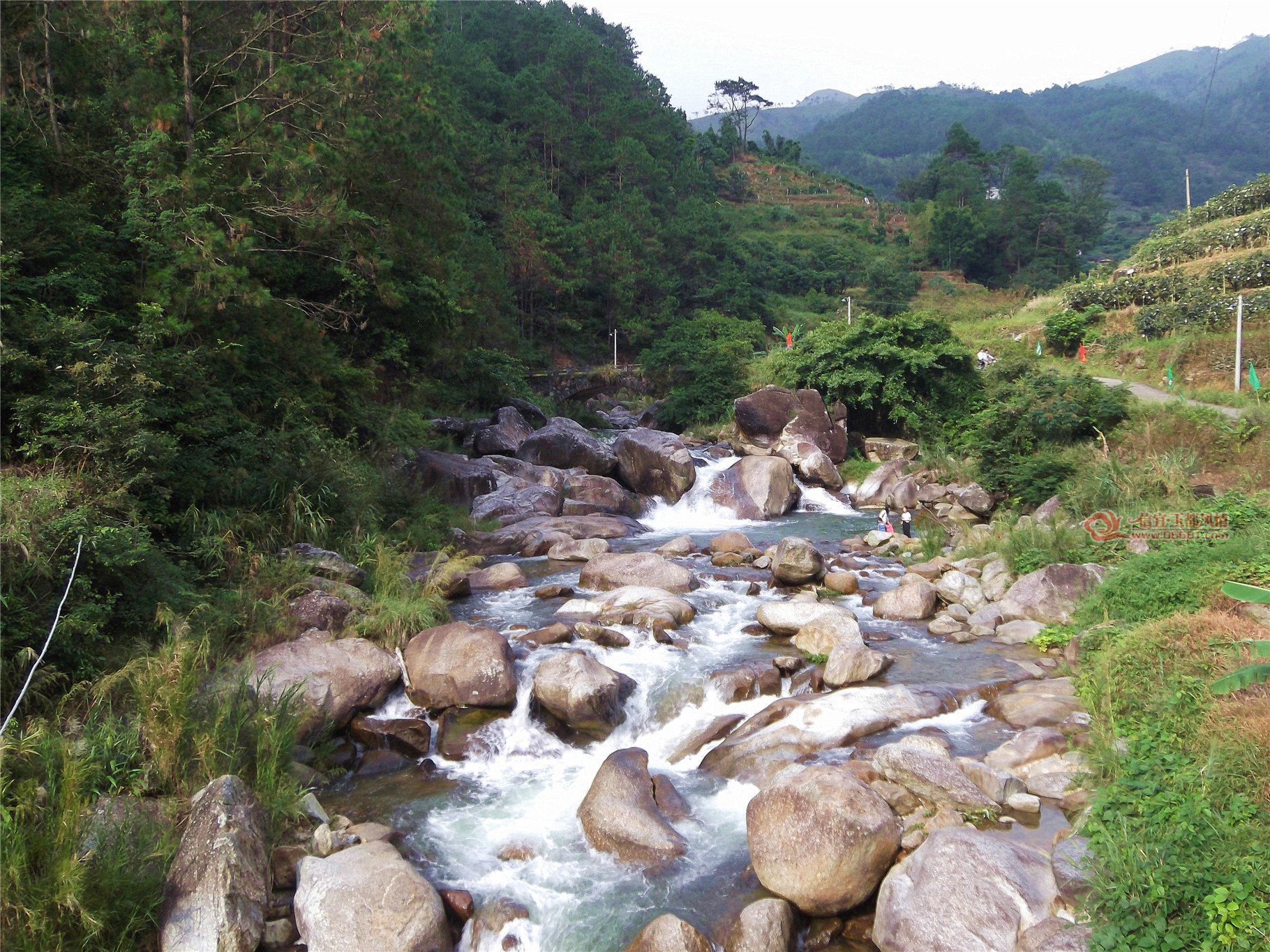 DSCF1053.jpg