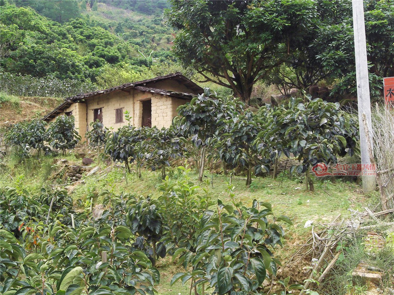 DSCF1072.jpg